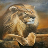 The king of jungle